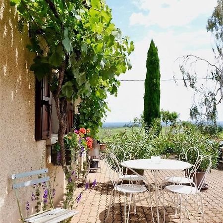 Domaine Des Marrans Bed and Breakfast Fleurie Exterior foto