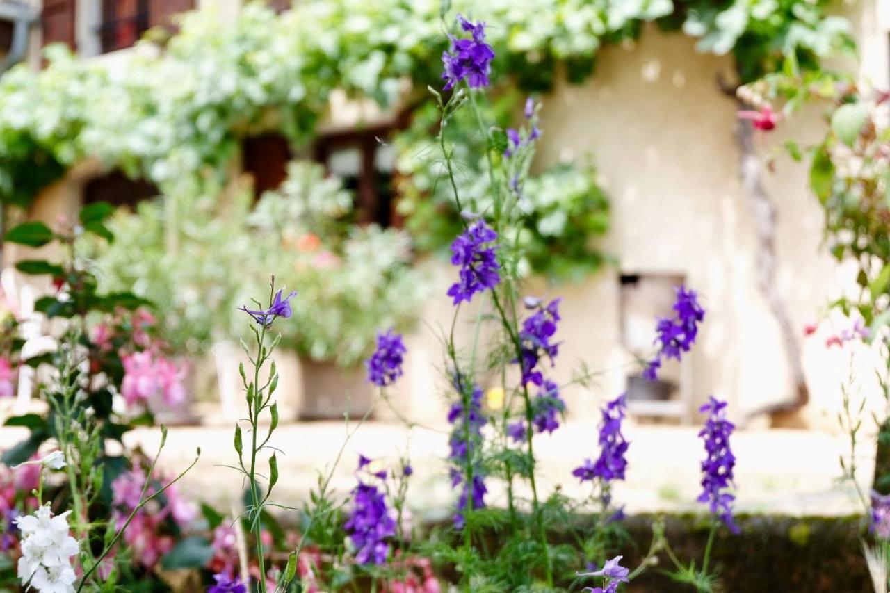 Domaine Des Marrans Bed and Breakfast Fleurie Exterior foto